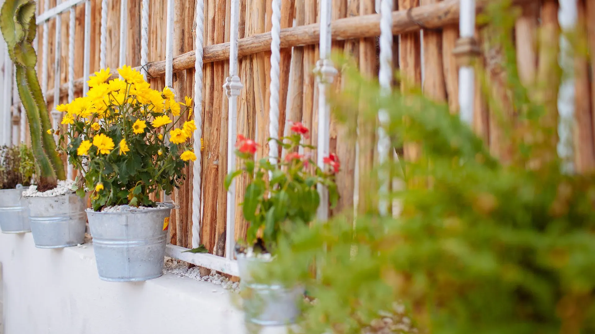 Hostels On The Road Playa del Carmen